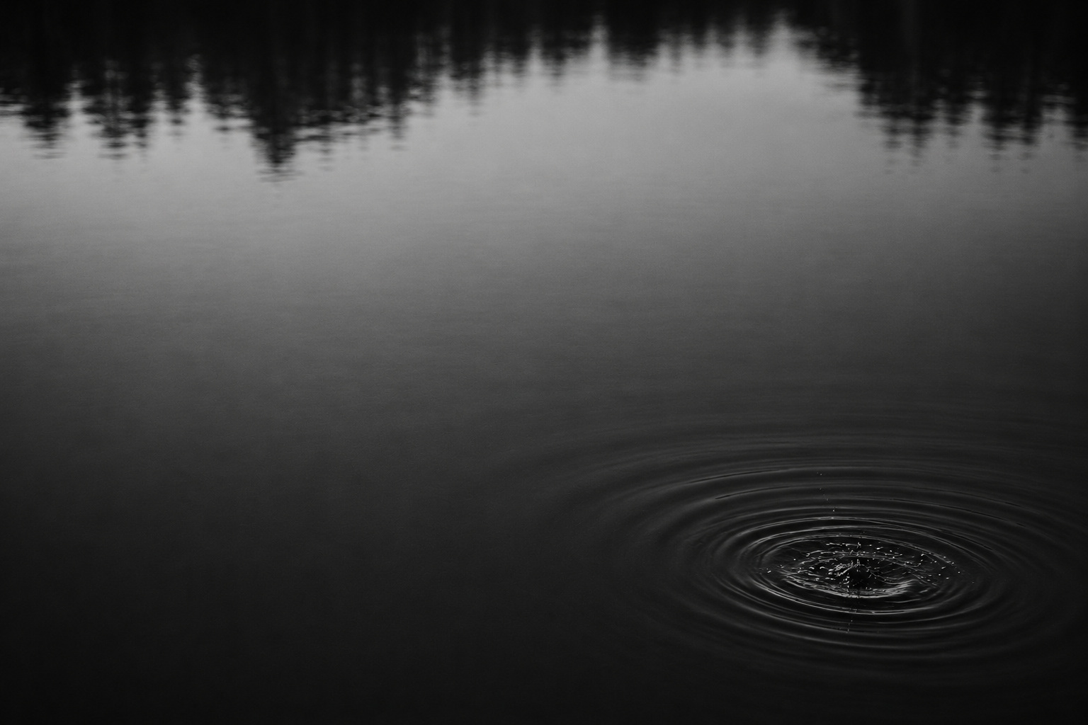 Superficie de agua oscura rota por una gota que genera ondas concéntricas, en blanco y negro.